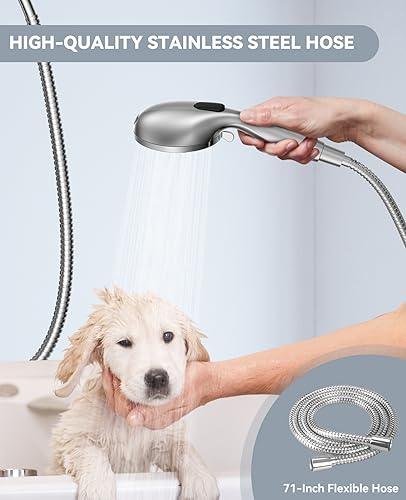 Shower Head with Handheld