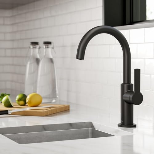 Oletto Single Handle Kitchen Bar Faucet in Matte Black