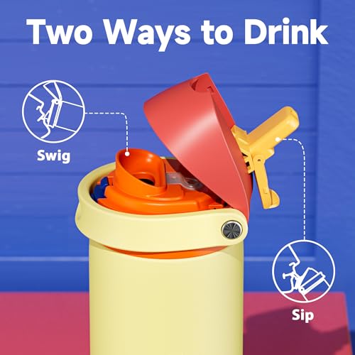 24 oz Insulated Water Bottle with Straw