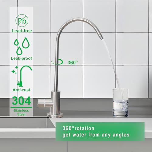 Stainless Steel Drinking Water Faucet