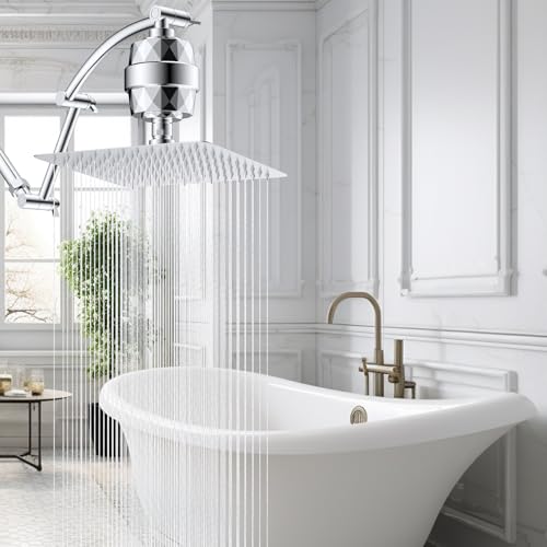 10'' Filtered Rain Shower Head with 16'' Extension Arm
