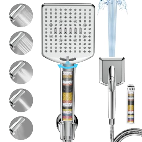 Filtered Shower Head with Handheld