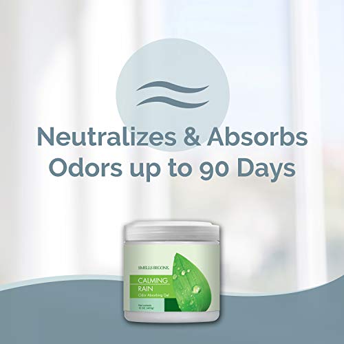 15oz Gel Odor Eliminator (15 Ounce)