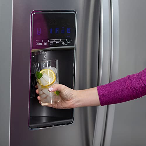 Refrigerator Ice and Water Filter 1