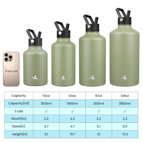 50 oz Insulated Stainless Steel Water Bottle Jug with Handle