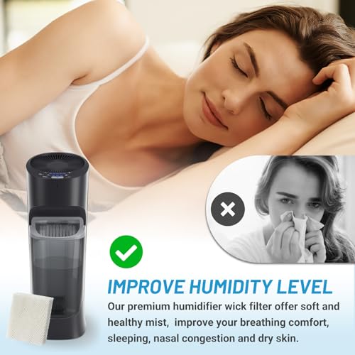 6 Pack Humidifier Wicking HFT600 Replacement Filters T (6 Count)
