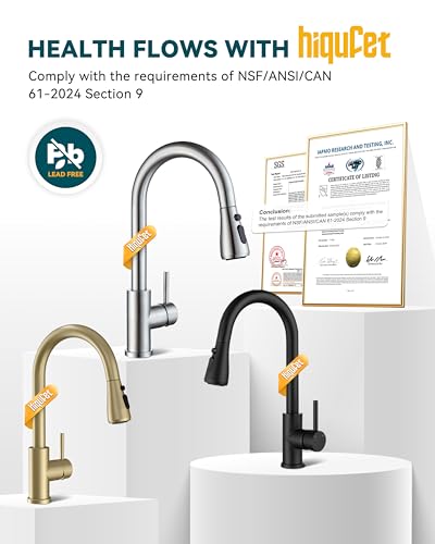Kitchen Faucet