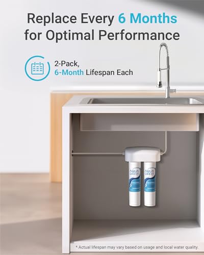 FQSVF Water Filter Replacement for GE FQSVN (2 Count)