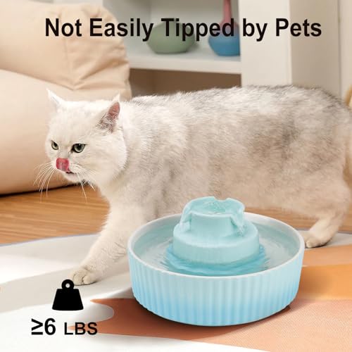 Ceramic Cat Water Fountain