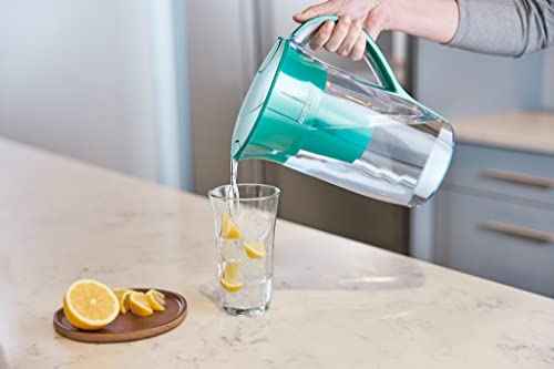 EcoFilter Replacement Filter by ZeroWater (2 Count)