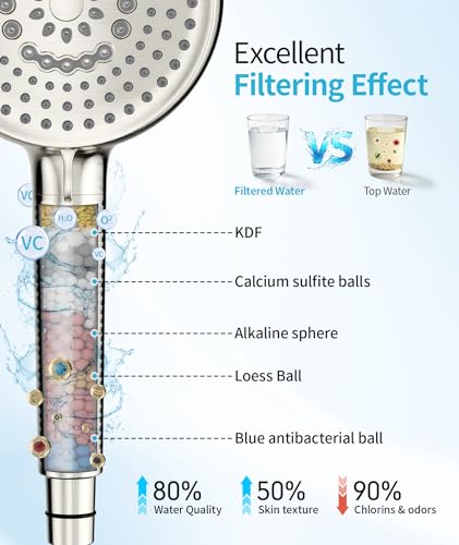 Filtered Shower Head with Handheld