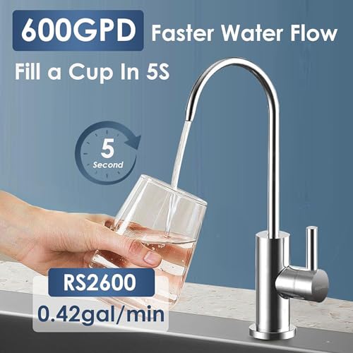 Reverse Osmosis System