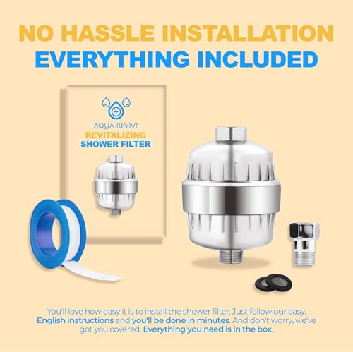 High Output Revitalizing Shower Filter