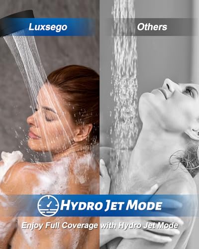 Filtered Shower Head with Handheld Spray for Skin and Hair Care