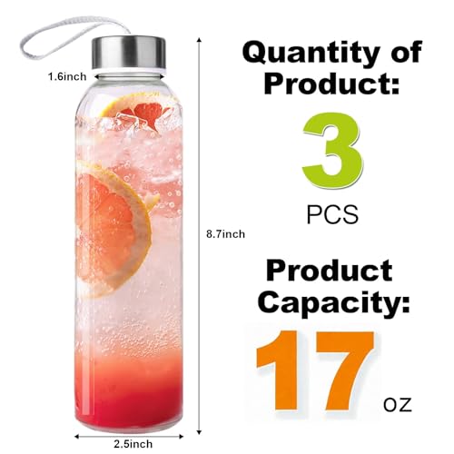 3 Packs Glass Water Bottles with Lid (3 Count)