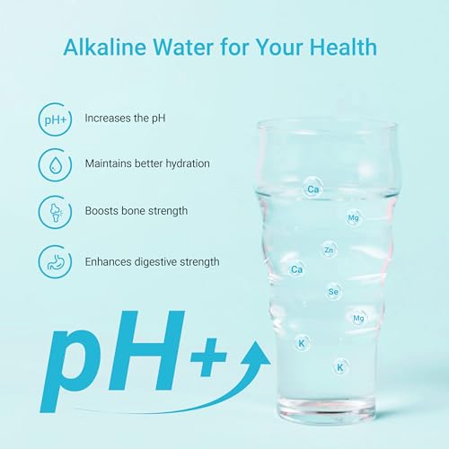 Alkaline Water Filter Replacement for Brita® Filter (6 Count)