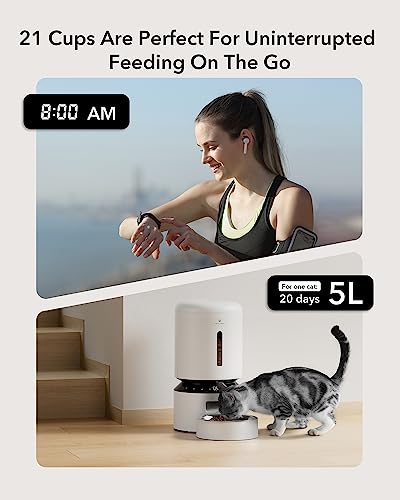 Automatic Cat Feeder