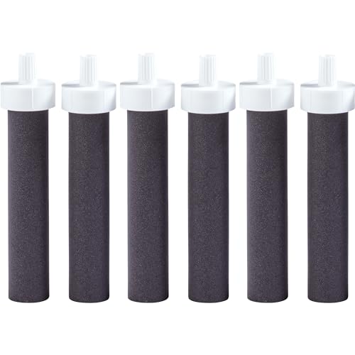 Water Bottle Replacement Filters (6 Count)