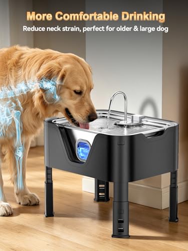 4.2Gal Dog Water Fountain for Large Dogs