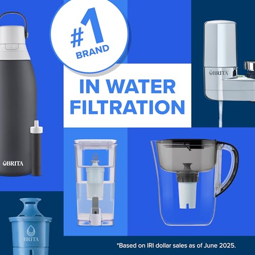 Plus Replacement Water Filter (2 Count)