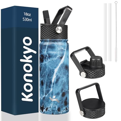 18 oz Insulated Stainless Steel Water Bottle with Straw Lid