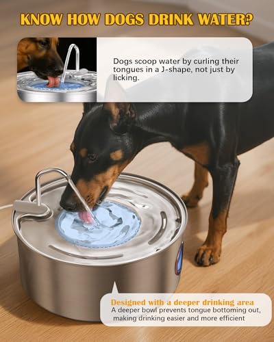 Dog Water Fountain for Large Dogs
