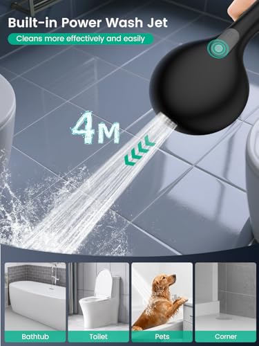 Filtered Shower Head with Handheld