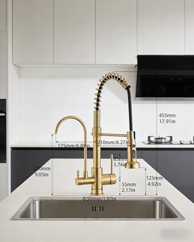 Commercial 3 in 1 Spring Brushed Gold Kitchen Faucet