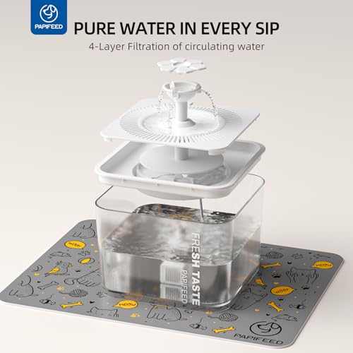Automatic Cat Feeder and Water Fountain