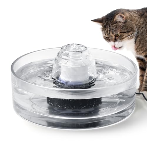 2.7L Glass Pet Fountain (92 Fl Oz)