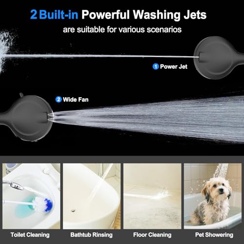 Filtered Shower Head with Handheld