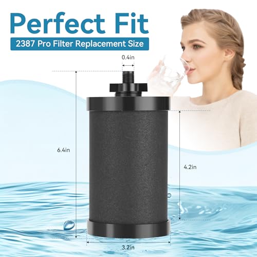 2 PCS 2387 Pro Replacement Water Filter Compatible with Alexapure