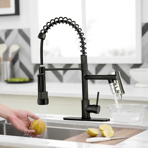 Black Kitchen Faucet with Water Filter