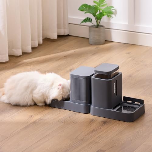Gravity Cat Feeder and Water Dispenser