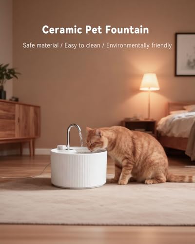 Ceramic Cat Water Fountain