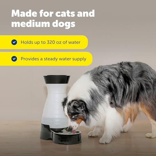 Healthy Pet Water Station with Extra 2