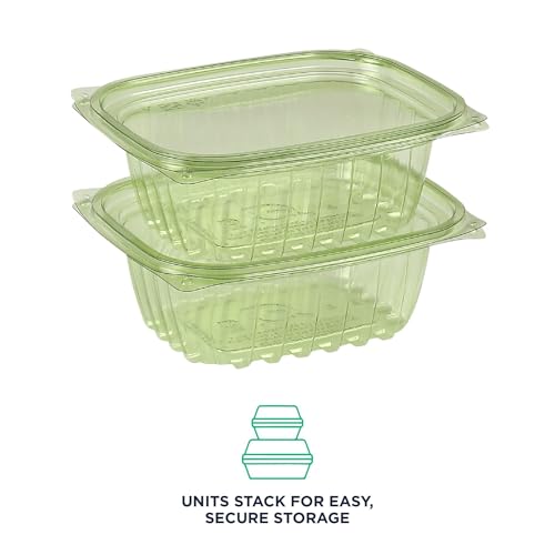 Compostable 12oz Rectangular Deli Containers With Lids (100 Count)