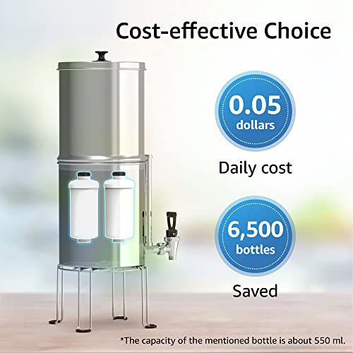 Fluoride Water Filter (2 Count)