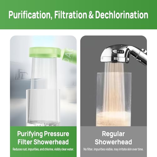 Filtered Shower Head with Handheld