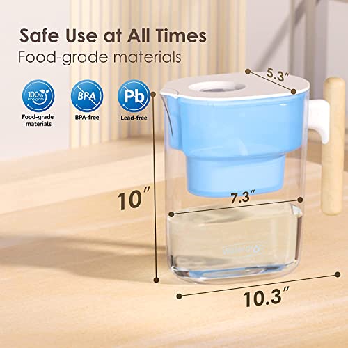 PT-04B 10-Cup Water Filter Pitcher with 4 Filters, NSF Certified (2 Count)