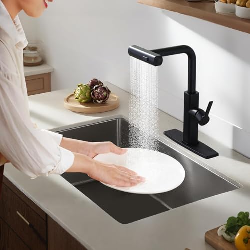 Kitchen Faucet with Pull Down Sprayer