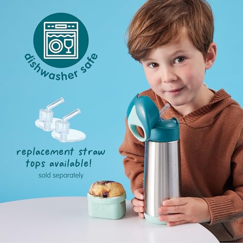 Looney Tunes Insulated Water Bottle for Kids