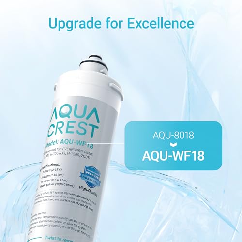 H 300 Water Filter Replacement for Pentair® Everpure H (2 Count)
