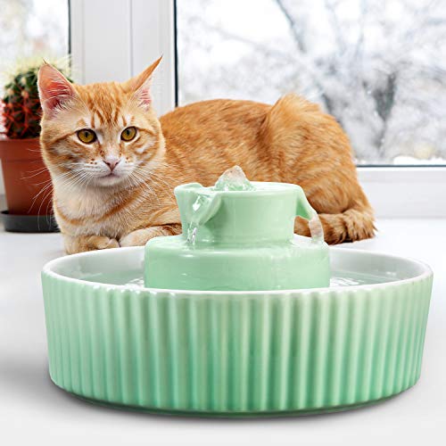 Ceramic Cat Water Fountain
