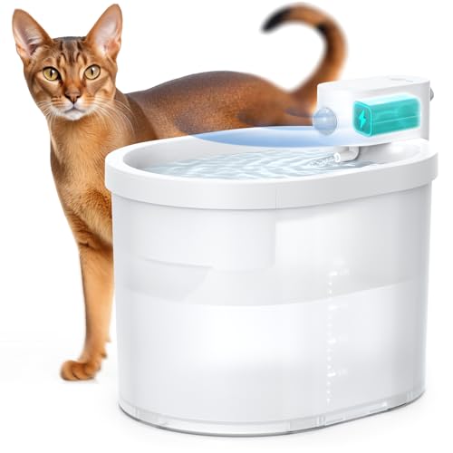 Cat Water Fountain
