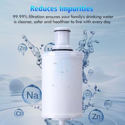 100186 Original Water Filter Replacement Cartridge Compatible with Amway Espring