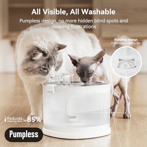 Pumpless Cat Water Elfin Fountain