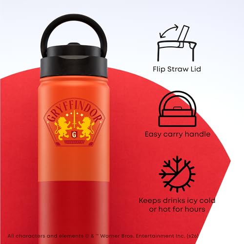 Harry Potter Gryffindor Stainless Steel Water Bottle with Flip Straw Lid