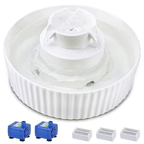 Ceramic Cat Water Fountain
