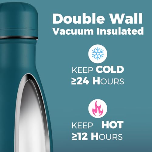 17oz Insulated Stainless Steel Water Bottle